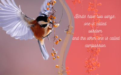 Birds have two wings (Robina Courtin)