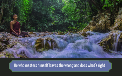 Buddhist Quote He Who Masters Himself